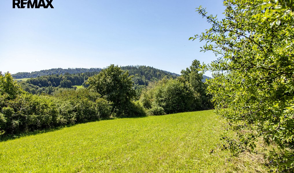 Prodej stavebního pozemku 4 479 m², Mikulůvka – náhled fotky 3