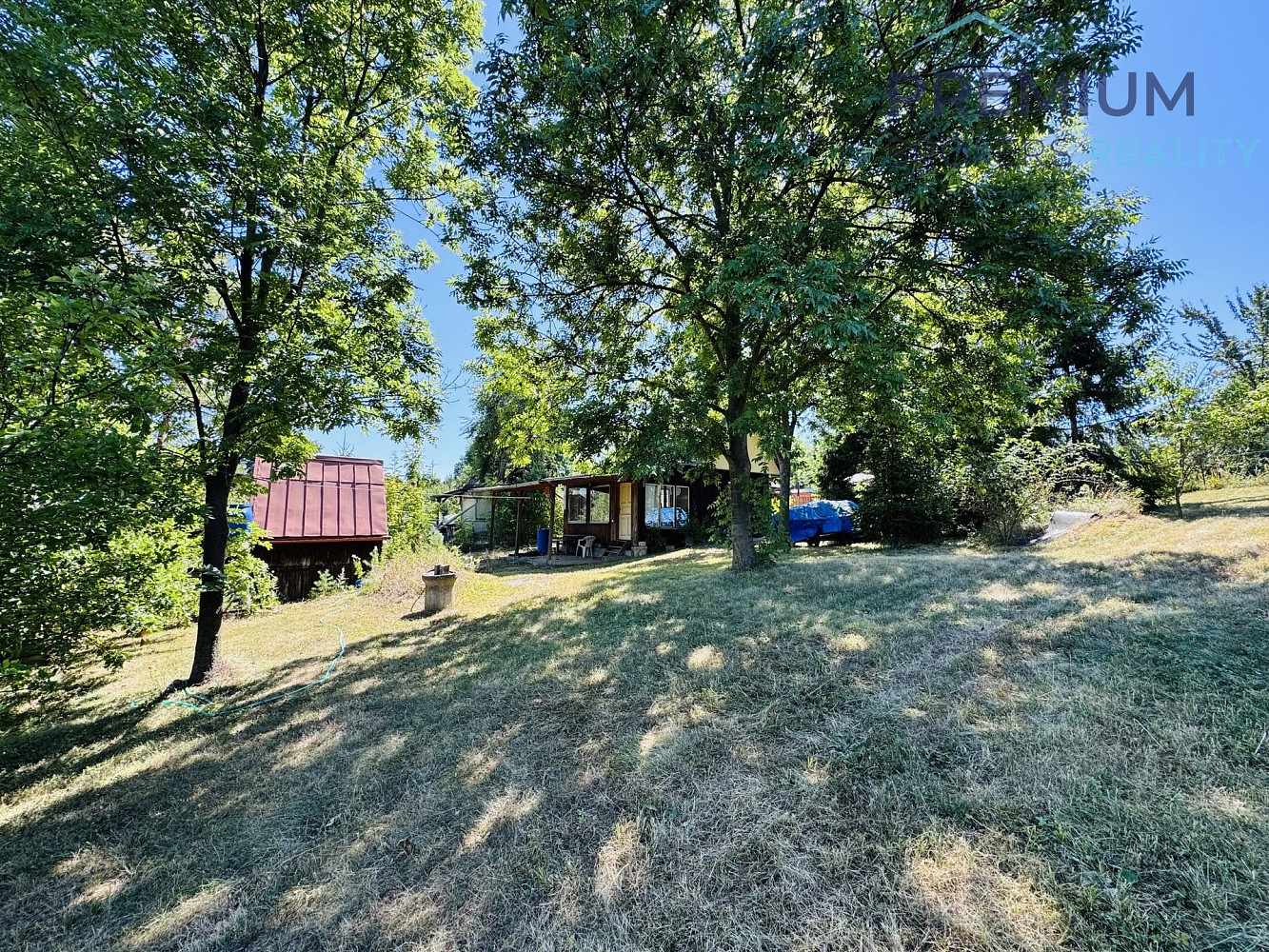 Fotka 7 z 16