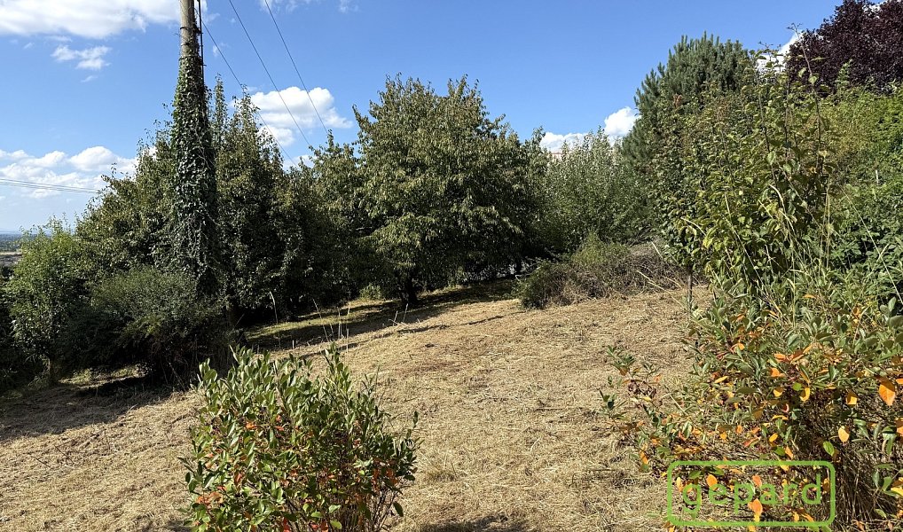 Prodej zahrady 770 m², Samotišky – náhled fotky 4