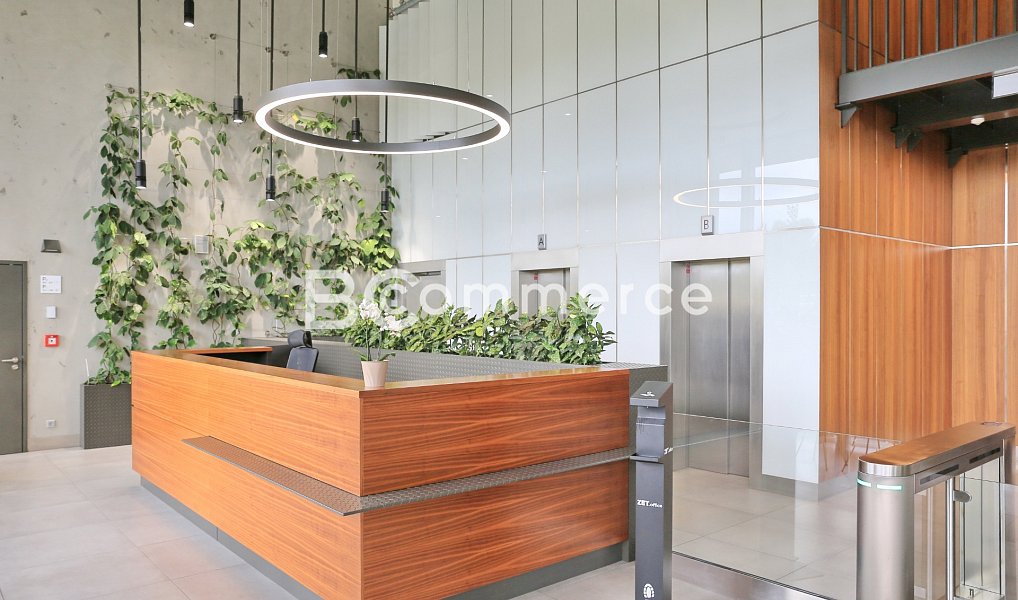 Pronájem kanceláře 150 m², Brno – náhled fotky 5