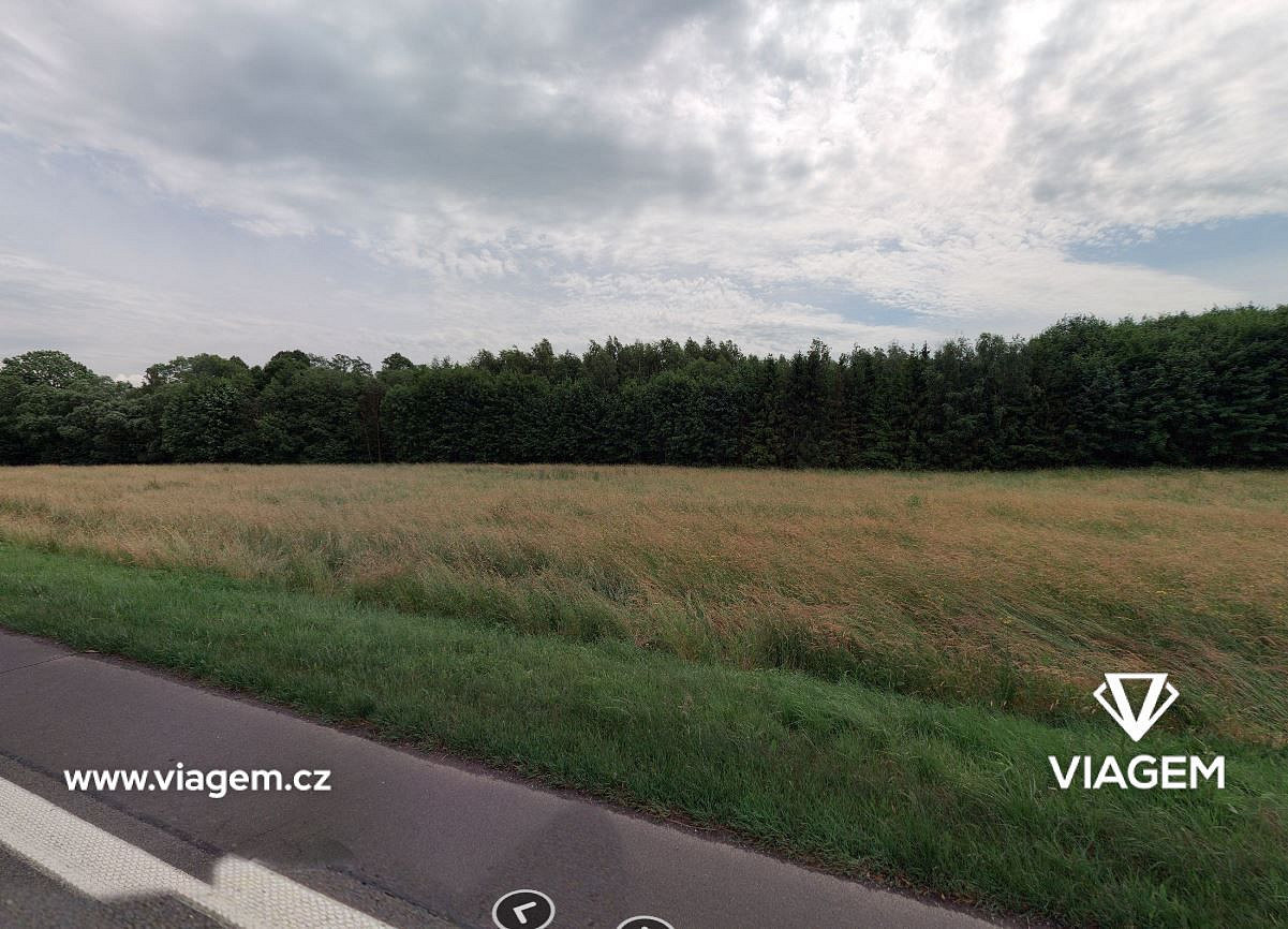 Prodej pole 2 478 m² – fotografie 2