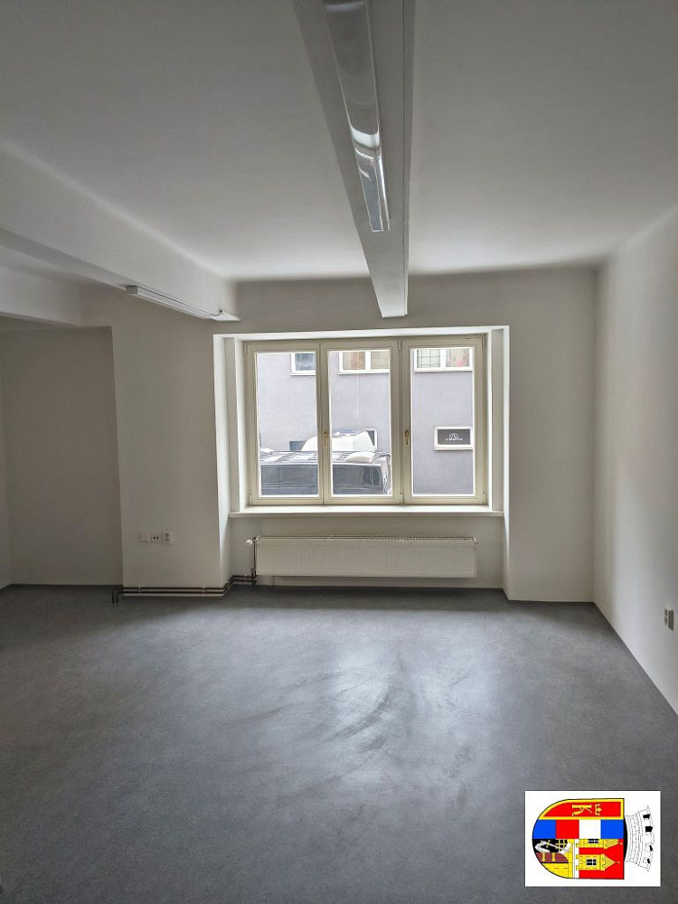 Pronájem komerčního objektu (jiného typu) 93 m² – fotografie 4