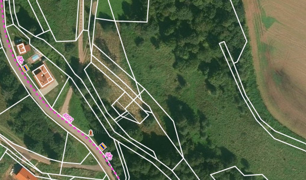 Prodej stavebního pozemku 3 276 m², Božanov – náhled fotky 16