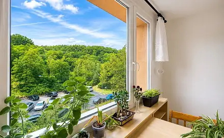 Prodej bytu 3+1 78 m², Pionýrů, Jirkov, okres Chomutov