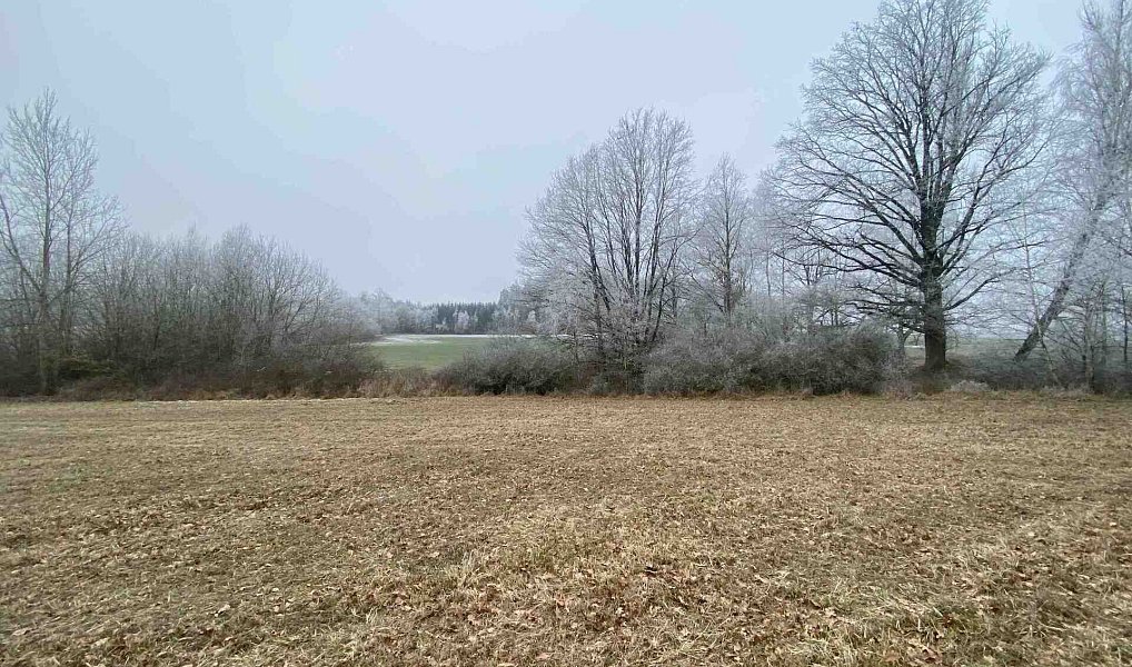 Prodej pole 13 059 m², Slatina – náhled fotky 12