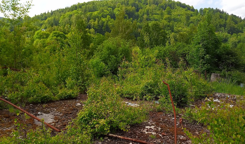 Prodej stavebního pozemku 2 111 m², Desná – náhled fotky 13