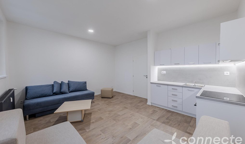 Pronájem bytu 1+kk 30 m², Přerov – náhled fotky 4