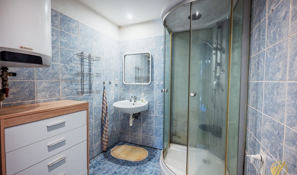 Prodej domu 275 m² s pozemkem 1 300 m², Velké Poříčí – náhled fotky 21