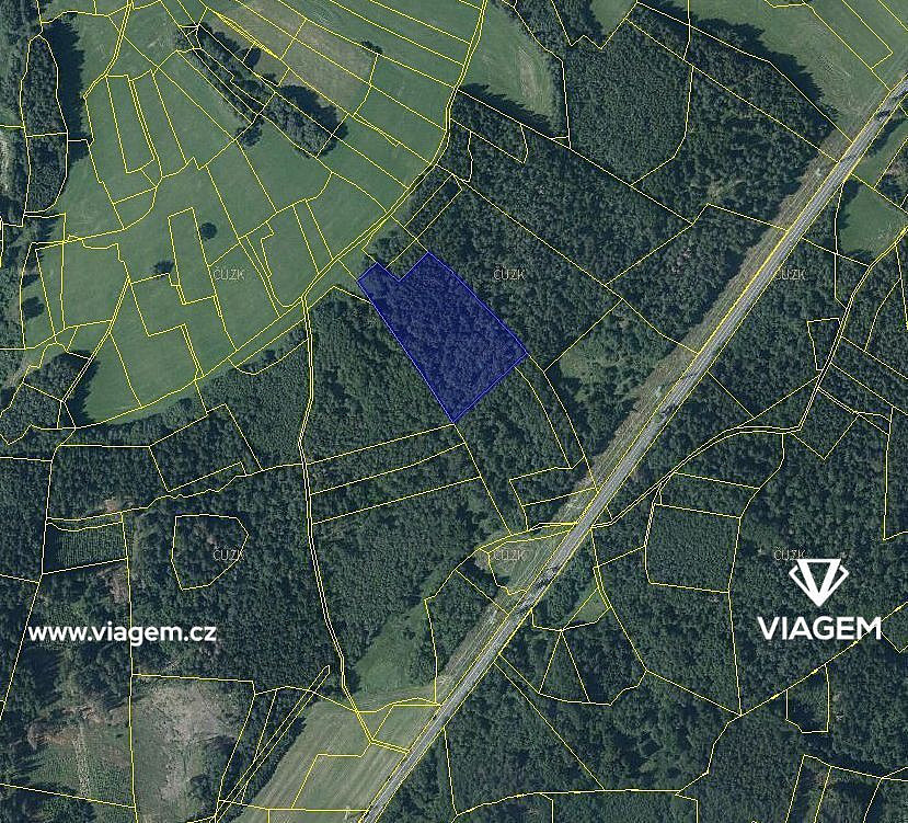 Prodej lesa 2 834 m² – fotografie 2