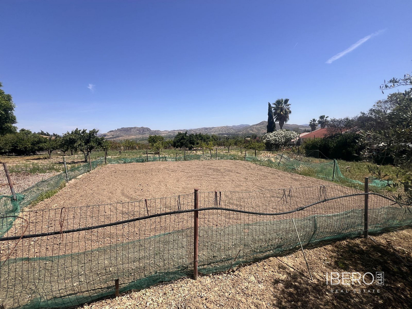 Fotka 13 z 15