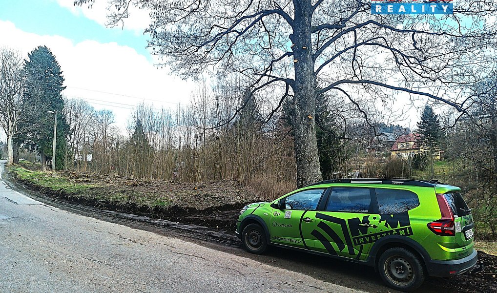 Prodej louky 1 153 m², Bartošovice v Orlických horách – náhled fotky 3
