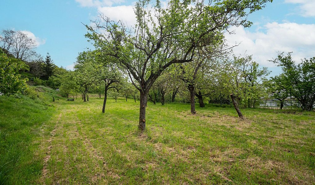 Prodej zahrady 1 052 m², Pozořice – náhled fotky 12