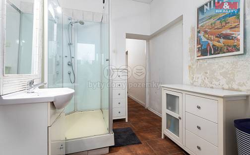 Prodej domu 250 m² s pozemkem 1 909 m², Sýkorova, Ostrava - Heřmanice