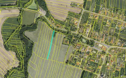 Prodej louky 1 356 m², Řepeč, okres Tábor