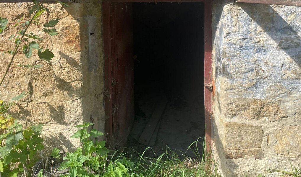 Prodej stavebního pozemku 1 144 m², Košíky – náhled fotky 8