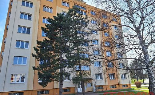 Pronájem bytu 2+1 55 m², Palackého, Přeštice, okres Plzeň-Jih