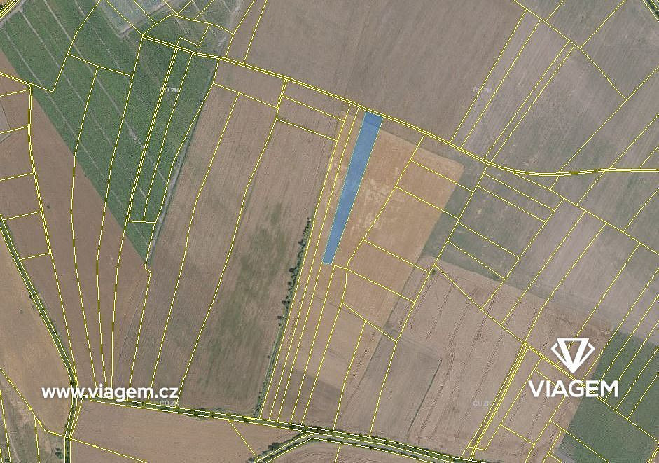 Prodej pole 5 900 m²