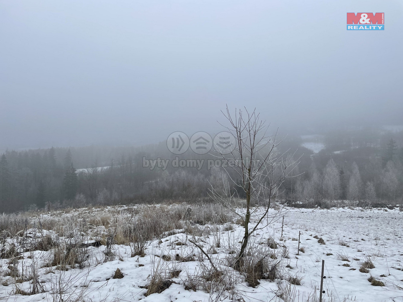 Prodej lesa 8 638 m² — photo 2