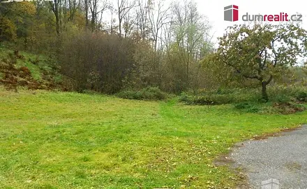 Prodej stavebního pozemku 10 000 m², Petrovice, okres Ústí nad Labem