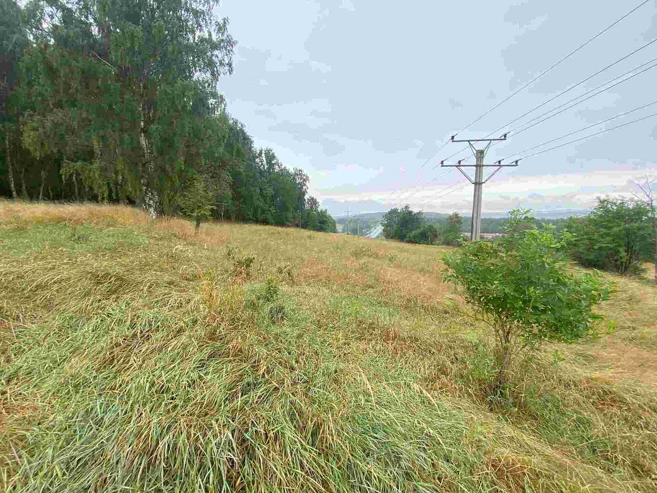 Prodej pole 49 321 m² – fotografie 5