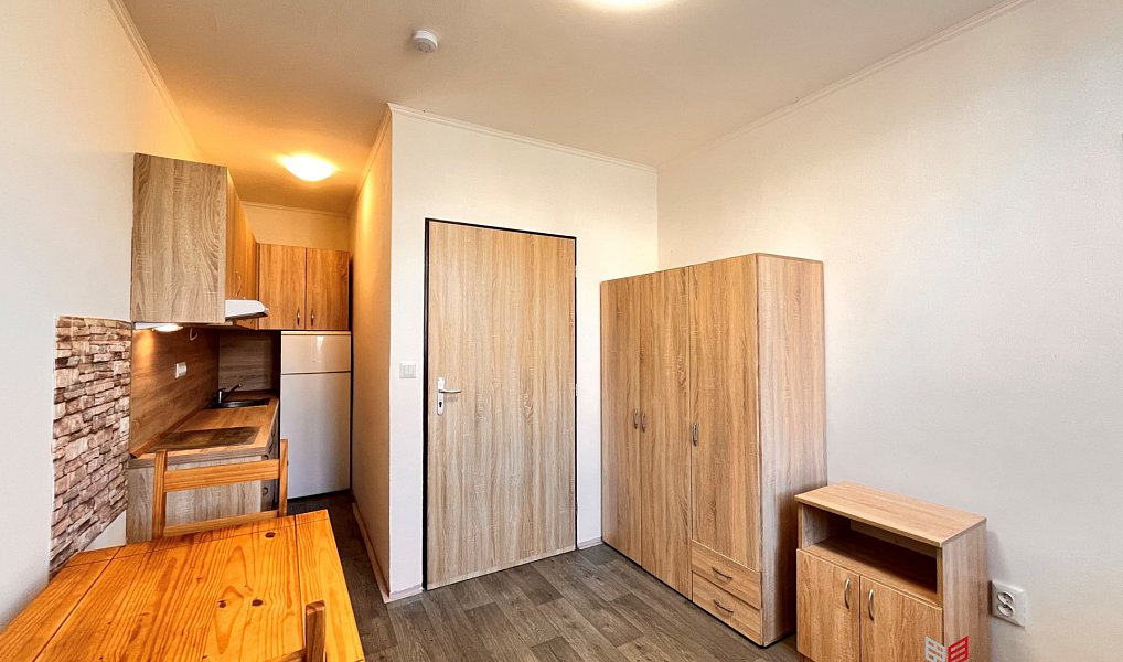 Pronájem bytu 1+kk 16 m², Hradec Králové – náhled fotky 2