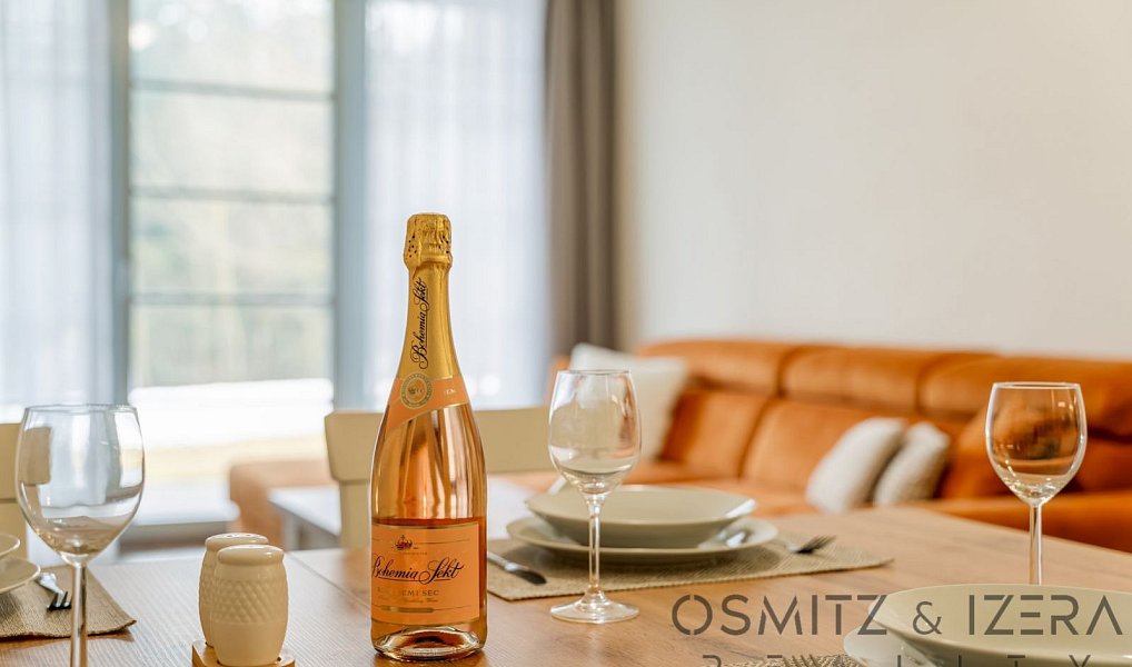 Prodej bytu 2+kk 59 m², Říčky v Orlických horách – náhled fotky 7
