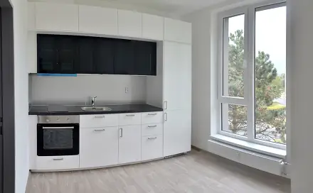 Pronájem bytu 1+1 32 m², Paní Zdislavy, Česká Lípa