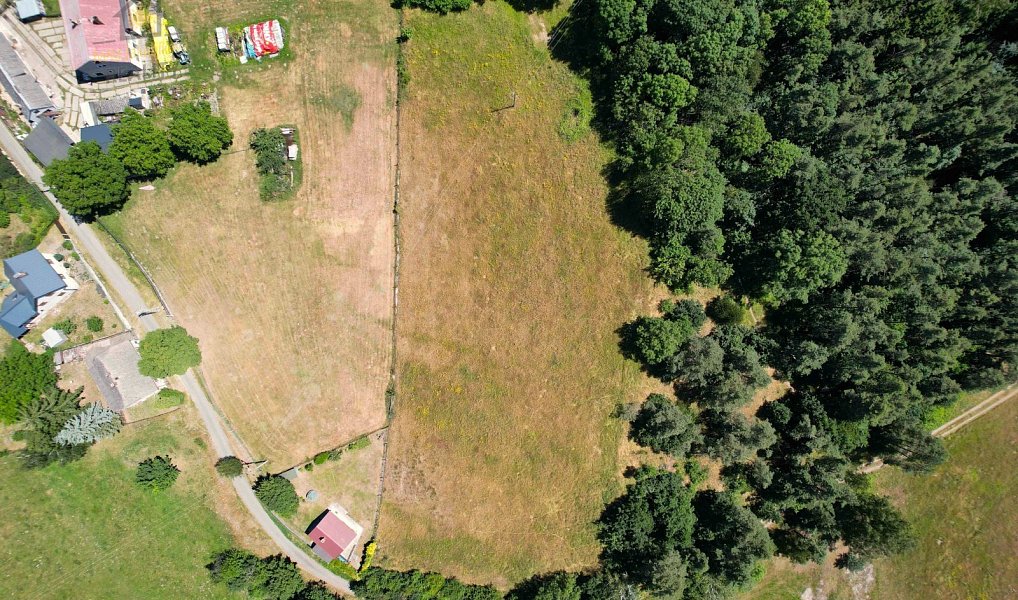 Prodej stavebního pozemku 4 197 m², Bezděz – náhled fotky 4