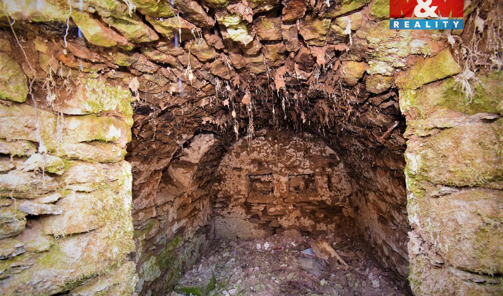 Prodej louky 1 153 m², Bartošovice v Orlických horách – náhled fotky 4