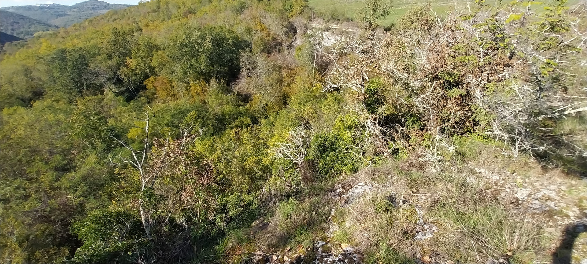 Prodej pole 3 549 m²