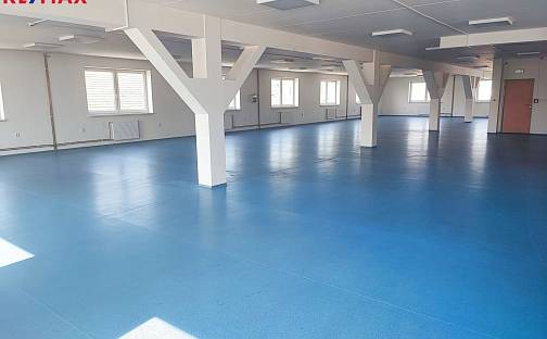 Pronájem výrobních prostor 418 m², Cukrovarská, Vyškov - Vyškov-Město