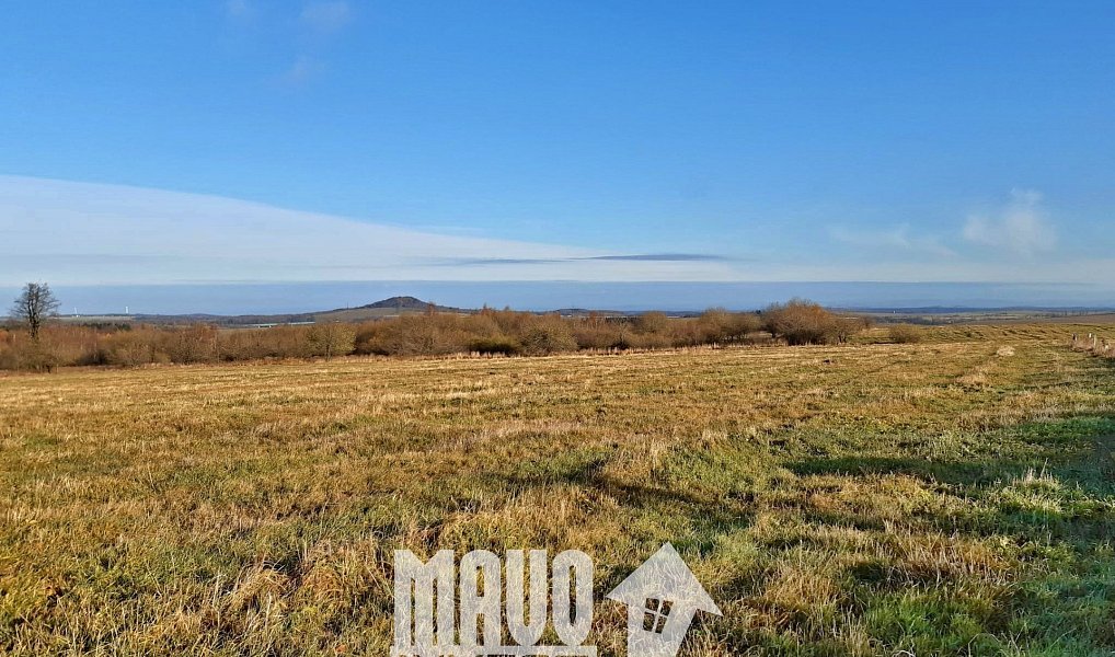 Prodej louky 118 619 m², Petrovice – náhled fotky 4