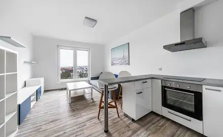 Pronájem bytu 1+kk 29 m², Nemocniční, Plzeň - Jižní Předměstí