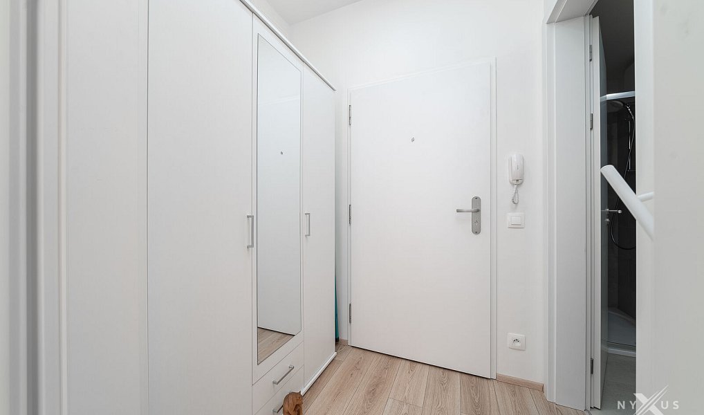 Pronájem bytu 1+kk 30 m², Praha – náhled fotky 10