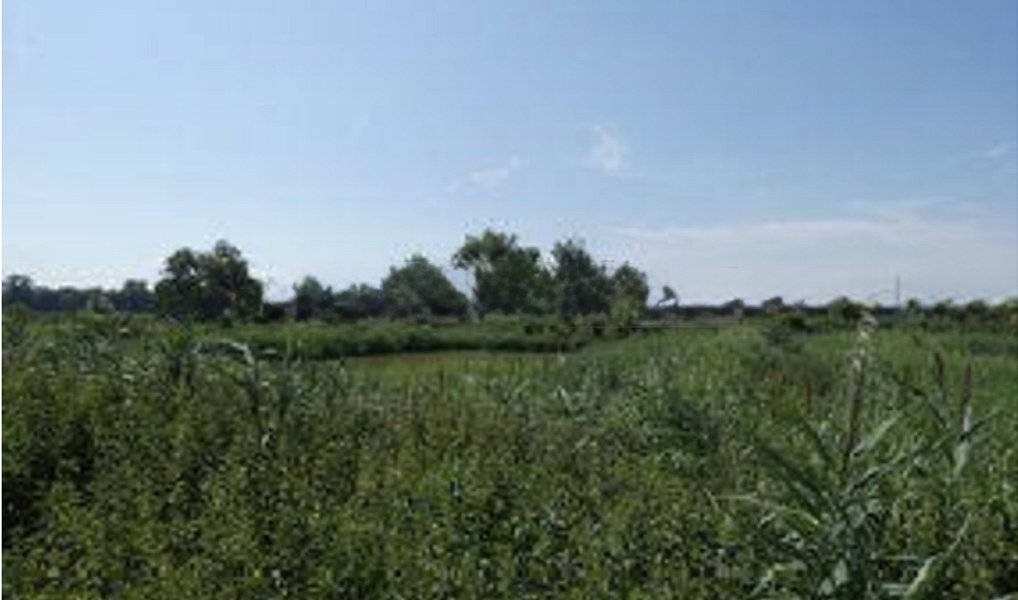 Prodej komerčního pozemku 51 412 m², Smiřice – náhled fotky 9