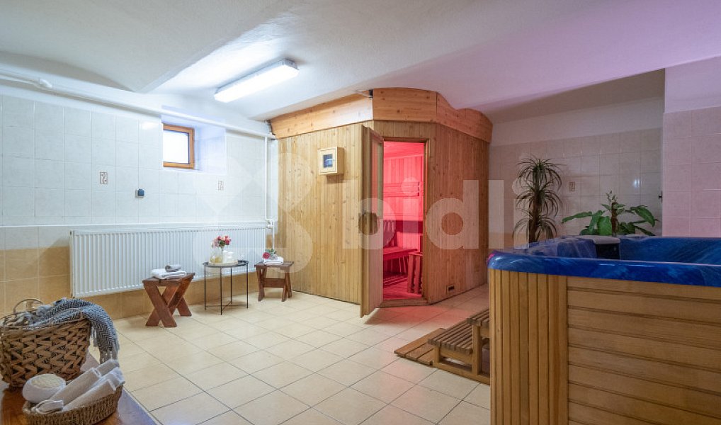 Prodej ubytovacího objektu 2 705 m², Dolní Moravice – náhled fotky 13
