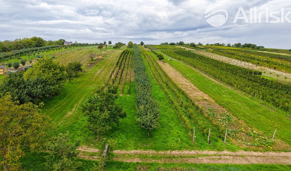 Prodej stavebního pozemku 1 865 m², Starý Poddvorov – náhled fotky 2