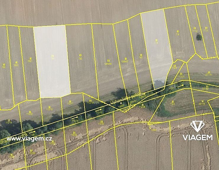 Prodej pole 1 174 m²