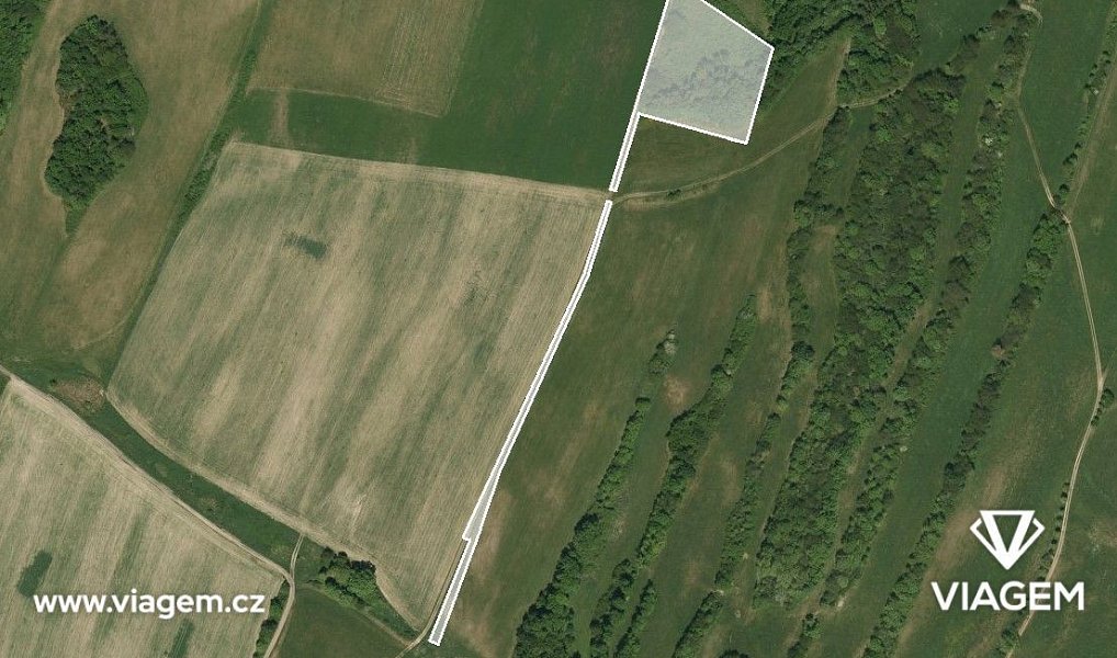 Prodej lesa 9 587 m², Liptaň – náhled fotky 2