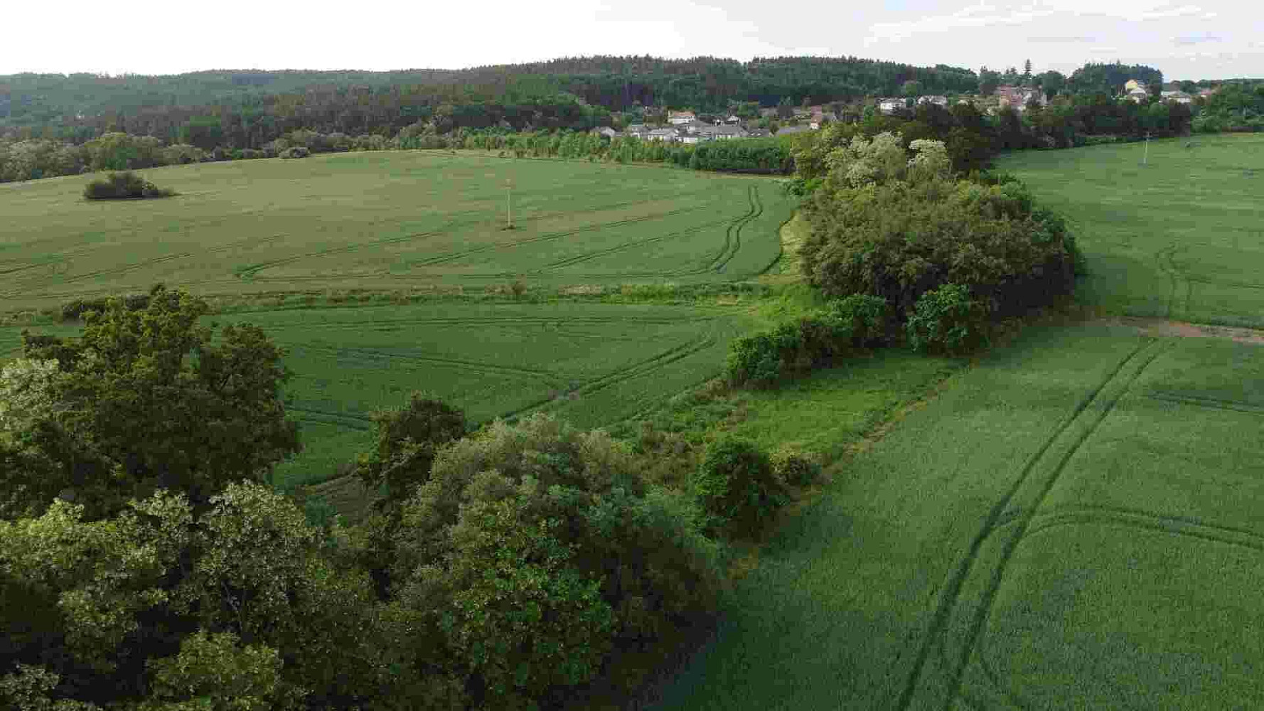 Prodej pole 5 266 m² – fotografie 2