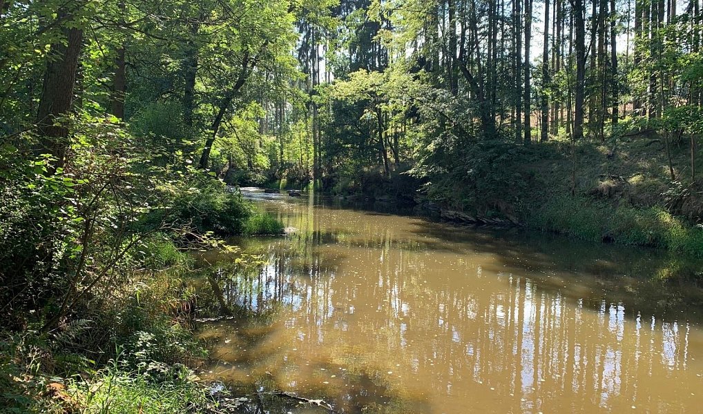 Prodej chaty/chalupy 89 m² s pozemkem 59 m², Střelice – náhled fotky 18