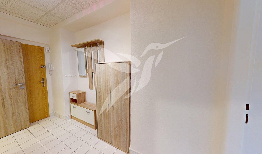 Pronájem bytu 2+1 53 m², Plzeň – náhled fotky 6