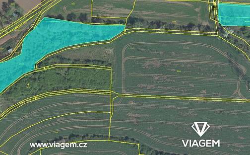 Prodej pole 1 623 m², Hřivice, okres Louny