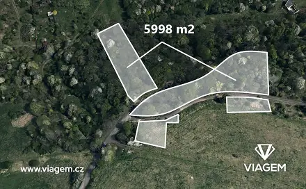 Prodej lesa 5 998 m², Ústí nad Labem