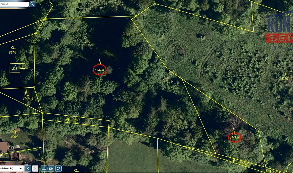 Prodej lesa 7 376 m², Hodslavice – náhled fotky 3