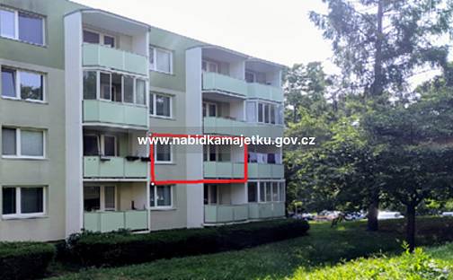 Prodej bytu 1+1 33 m², Brno