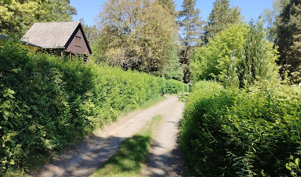 Prodej chaty/chalupy 39 m² s pozemkem 340 m², Stříbro – náhled fotky 14