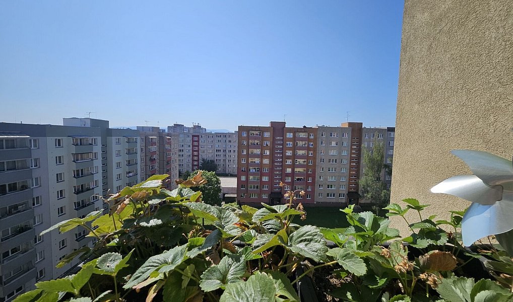 Prodej bytu 3+1 73 m², Havířov – náhled fotky 23