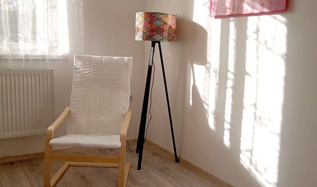 Pronájem bytu 1+kk 27 m², Olešnice v Orlických horách – náhled fotky 4
