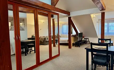 Pronájem bytu 1+kk 61 m², Gorkého, Brno - Veveří